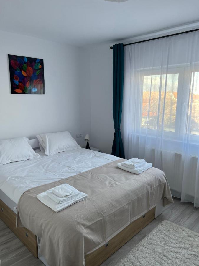 Cozy Residence Sibiu Buitenkant foto