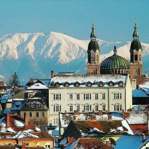 Cozy Residence Sibiu Buitenkant foto