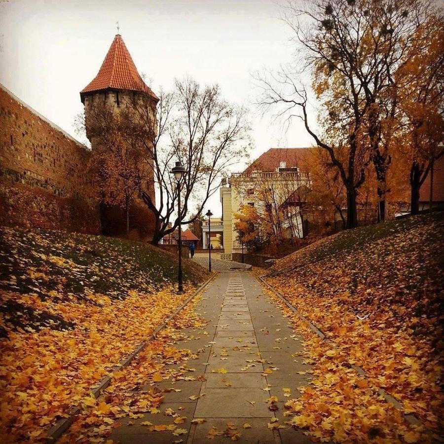 Cozy Residence Sibiu Buitenkant foto